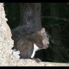 20050814_0243